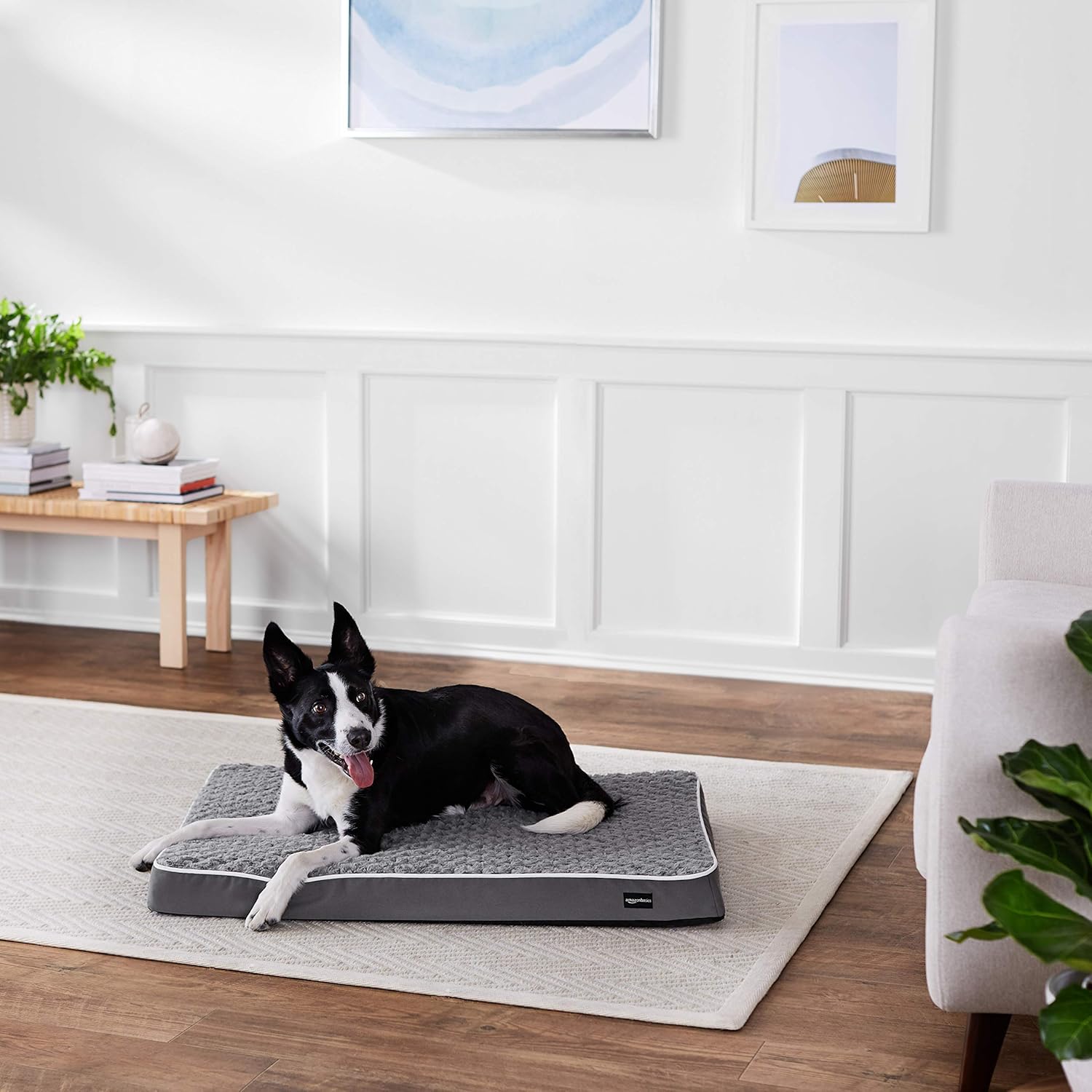 Amazon Basics Ergonomic Foam Pet Bed