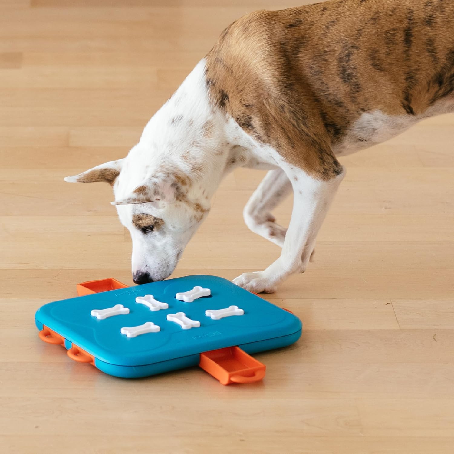 Nina Ottosson Dog Casino Puzzle